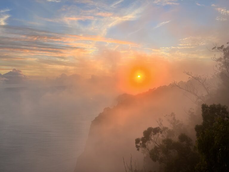 FEE41200-73DC-4655-A2F3-A3C11858917D